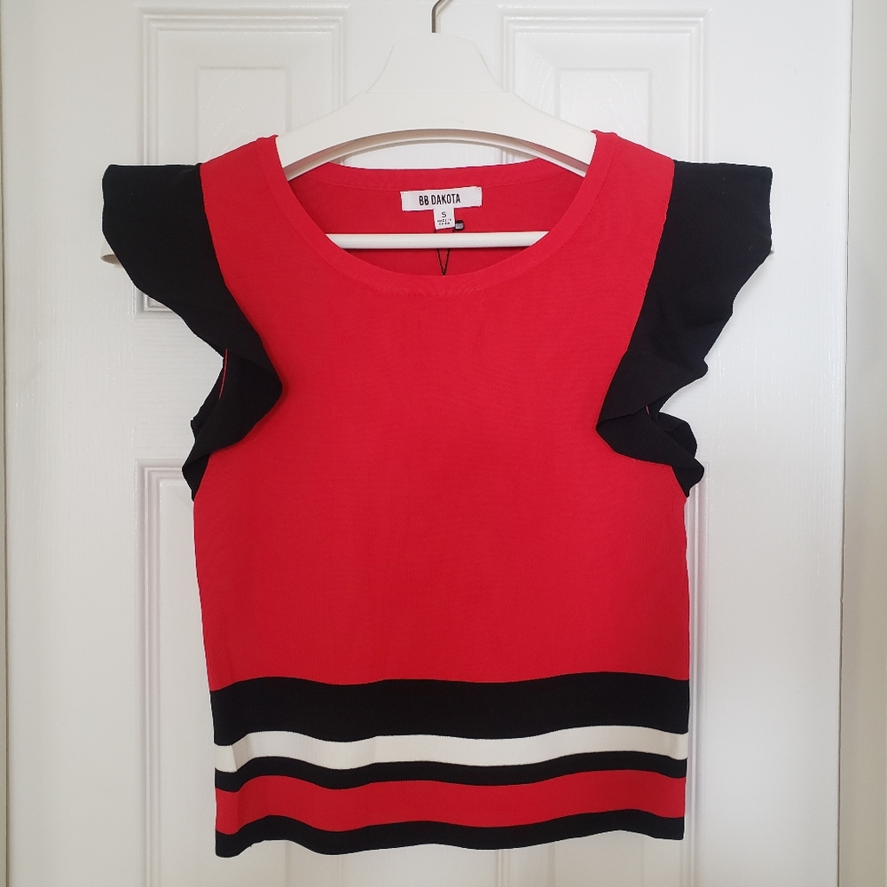 BB Dakota Ruffled Sleeve Knit Top
